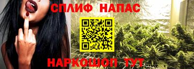 шишки Ярославль